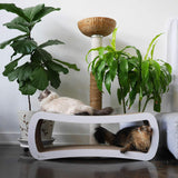 Rascador para gatos gigante blanco