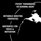 potenciador metabólico nootrópicos carnitina, diurético