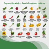 Pack de 55 Semillas No GMO para Huerto - Variedad Heirloom