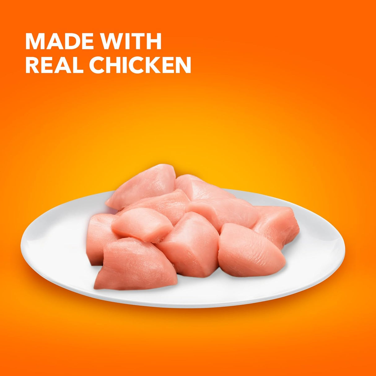 Alimentos seco saludable para gatos con croquetas de pollo