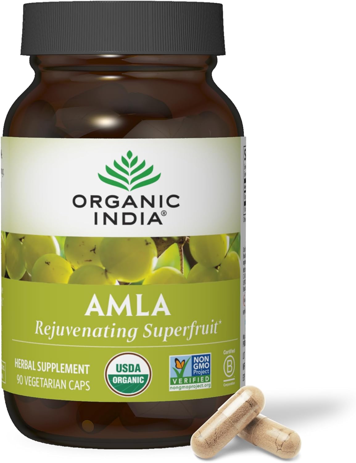 Suplemento de Amalaki Orgánico con Vitamina C, 90 cápsulas