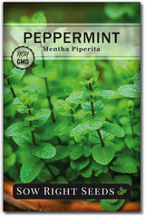 Semillas de Menta - Sow Right Seeds - No-GMO y Herencia - 1 paquete