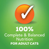 Alimento para gatos húmedos variedad Tamaño: 2 Packs of 12