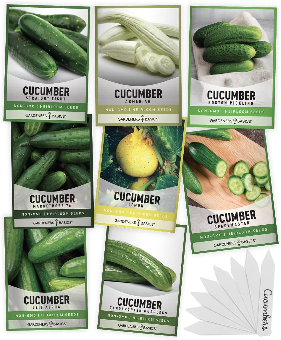 Semillas de Pepino para Plantar al Aire Libre - Variedad 8