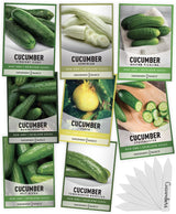 Semillas de Pepino para Plantar al Aire Libre - Variedad 8