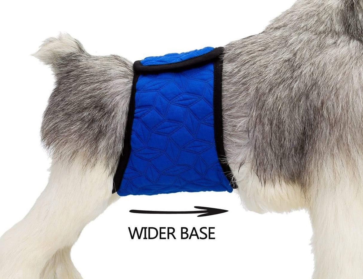Mkono Pañales lavables para perros machos para perros pequeños y medianos (paquete de 3)