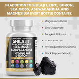 Suplemento Shilajit Clean Nutraceuticals 10,000mg 90 Cápsulas