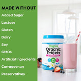 Suplemento proteína orgánica polvo de superalimentos
