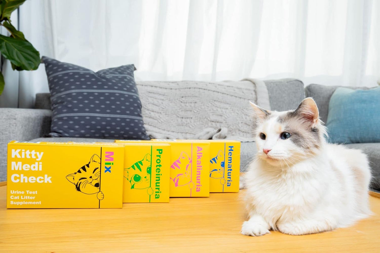 Salud de orinaria de gato, Hematuria 100% biodegradable.