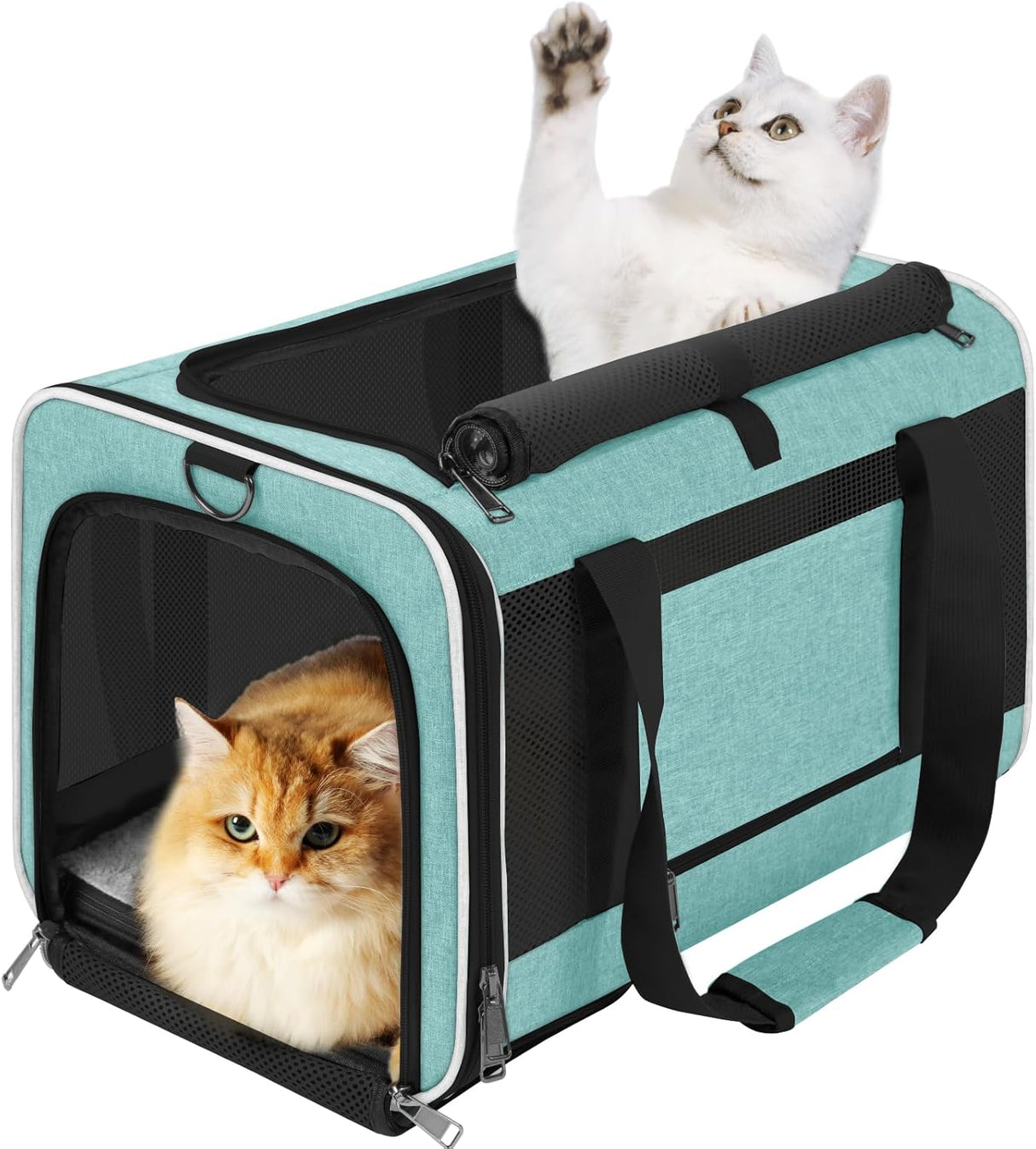 Transportín suave para perro pequeño, marca desconocida, hasta 15 lbs