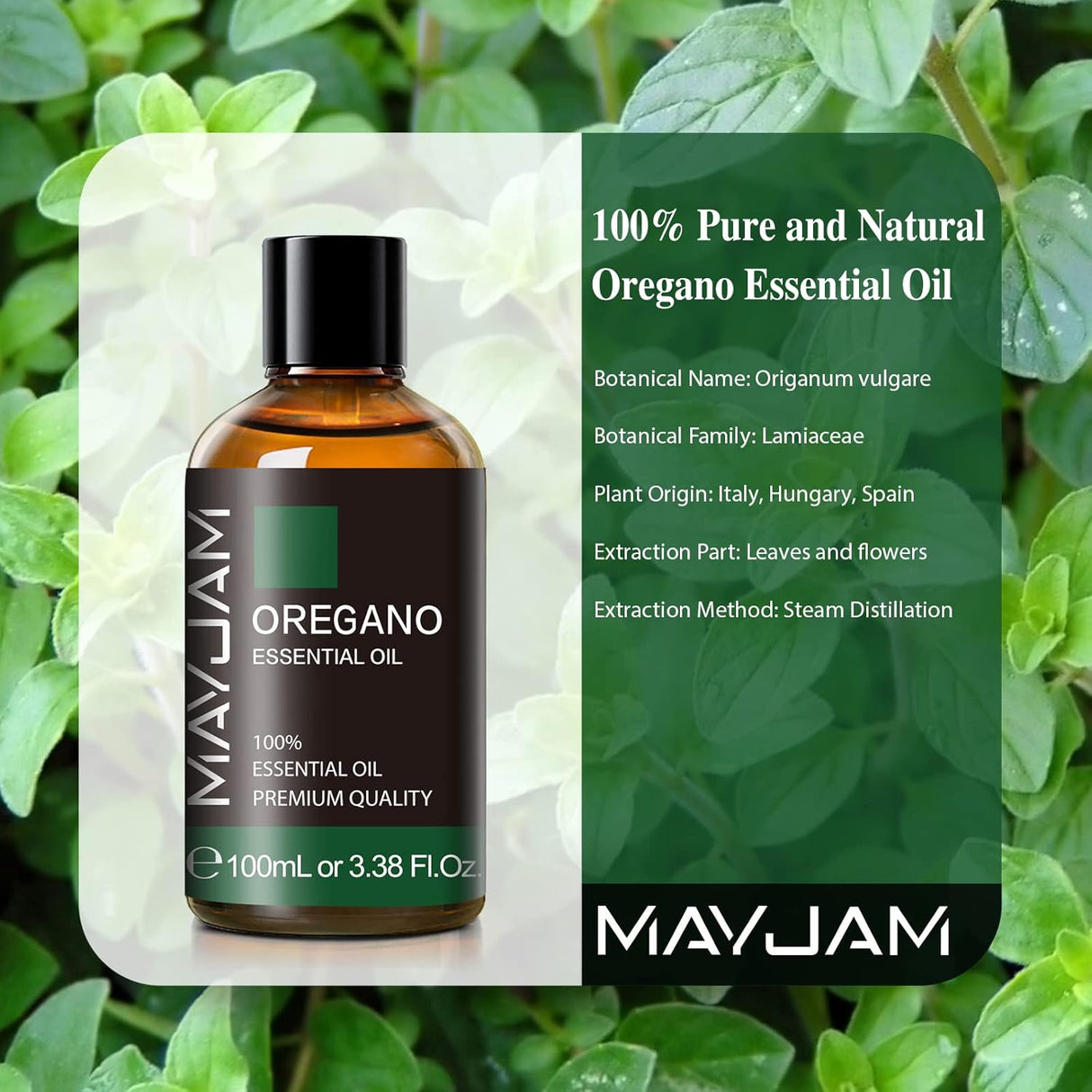 AceiteEsencial de Orégano MAYJAM, 100ml, Difusor, Gotero de Vidrio