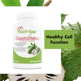 Guanábana (Graviola) - Antioxidante y Refuerzo Inmunológico