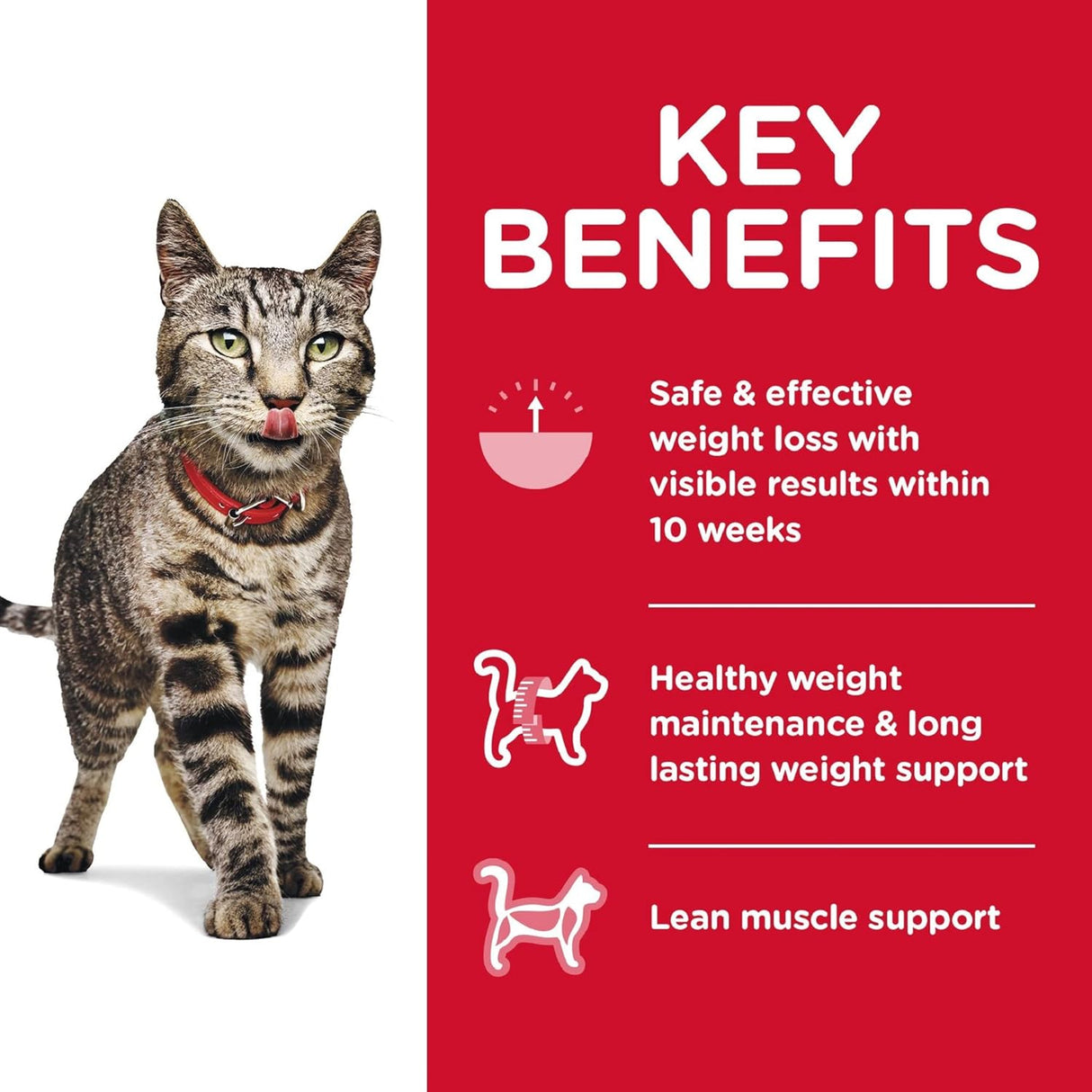Alimento seco para gatos adultos, para un control saludable