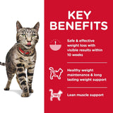 Alimento seco para gatos adultos, para un control saludable