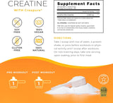 Creatina para Mujeres One Sol, Aumenta Masa Muscular, 100 Serv.