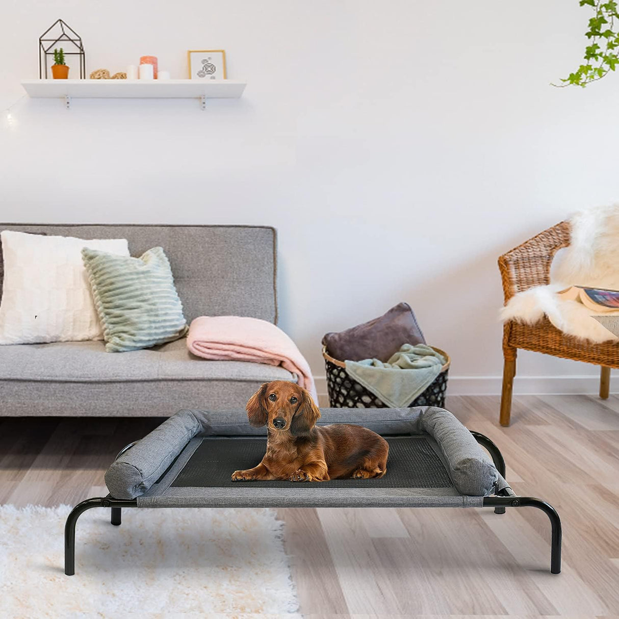 Cama Elevada para Mascotas PETIME, Cots con Malla, 48 Pulgadas