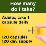 Cápsulas de Cúrcuma 500 mg, Soporte Antioxidante, 60 uds