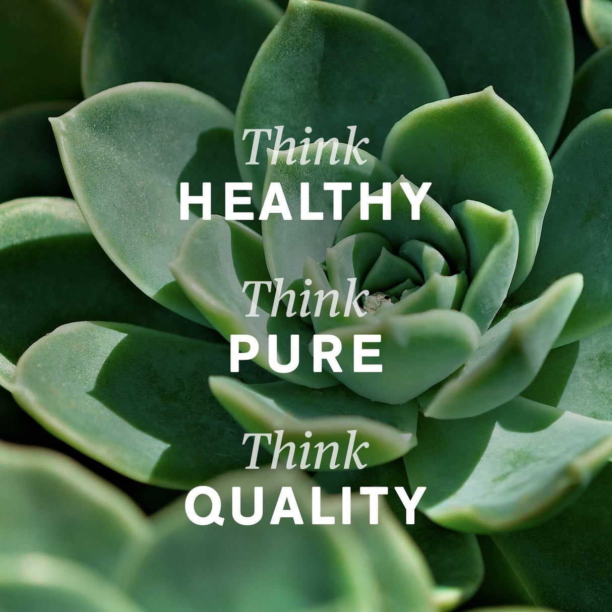 Coenzima Q10 Nature's Sunshine 60 Cápsulas