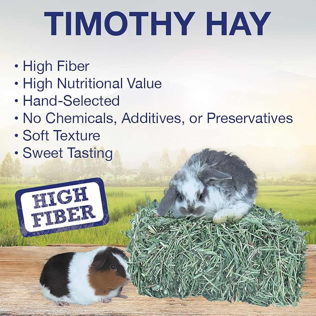 Bala de heno 5 libras Grandpa's Best Timothy