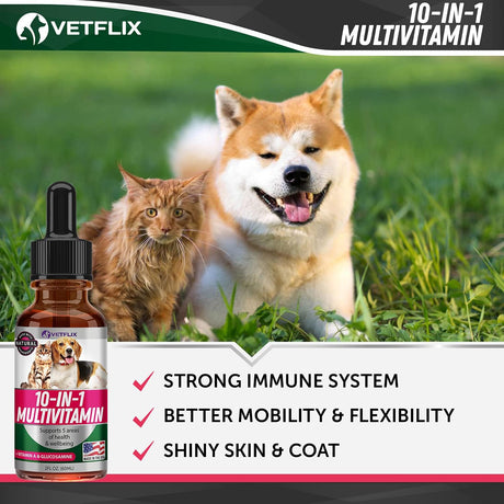 Vitaminas para mascotas 10 en 1 para las articulaciones