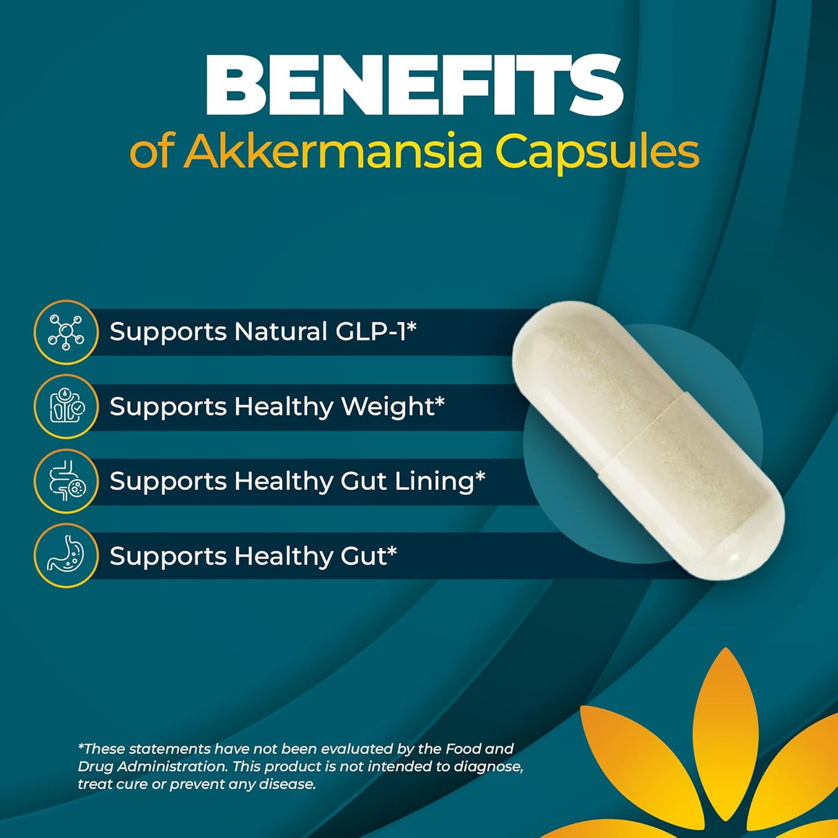 Akkermansia Probiótico, Apoyo Digestivo y Microbioma, 1B AFUs, 30 caps