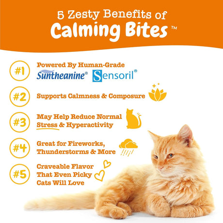 Suplementos para gatos Apoya el estrés