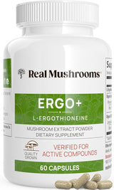 Extracto de Hongo Shiitake y Ostra con L-ergotioneína
