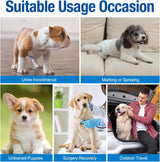 Pañales Pet Soft para perro, desechables, para perros macho, xs
