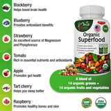 Suplemento Complejo orgánico de frutas y verduras  120 unid