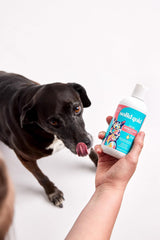 Solid Gold Aceite de pescado para perros y gatos – Aceite de salmón salvaje de Alaska para apoyo de la piel y el pelaje de perros – Mezcla de aceite de abadejo Omega 3 y ácidos grasos con EPA y DHA