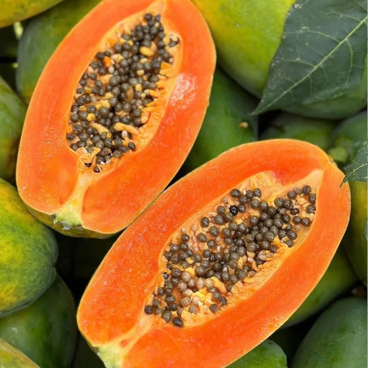Semillas de Papaya Creamy NiRwa - Dulces y Nutritivas 50pcs
