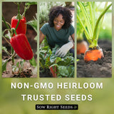 Colección de Semillas de Calabacín - Sow Right Seeds - Heirloom