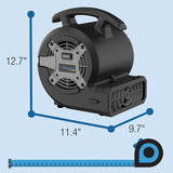 Ventilador Lasko BlueDri 1/8 HP para Secado de Pisos, BD-VP-15