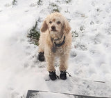 YAODHAOD - Zapatos para perros pequeños, antideslizantes, protectores de patas con correas reflectantes, ligeros, para caminar, para mascotas pequeñas o medianas