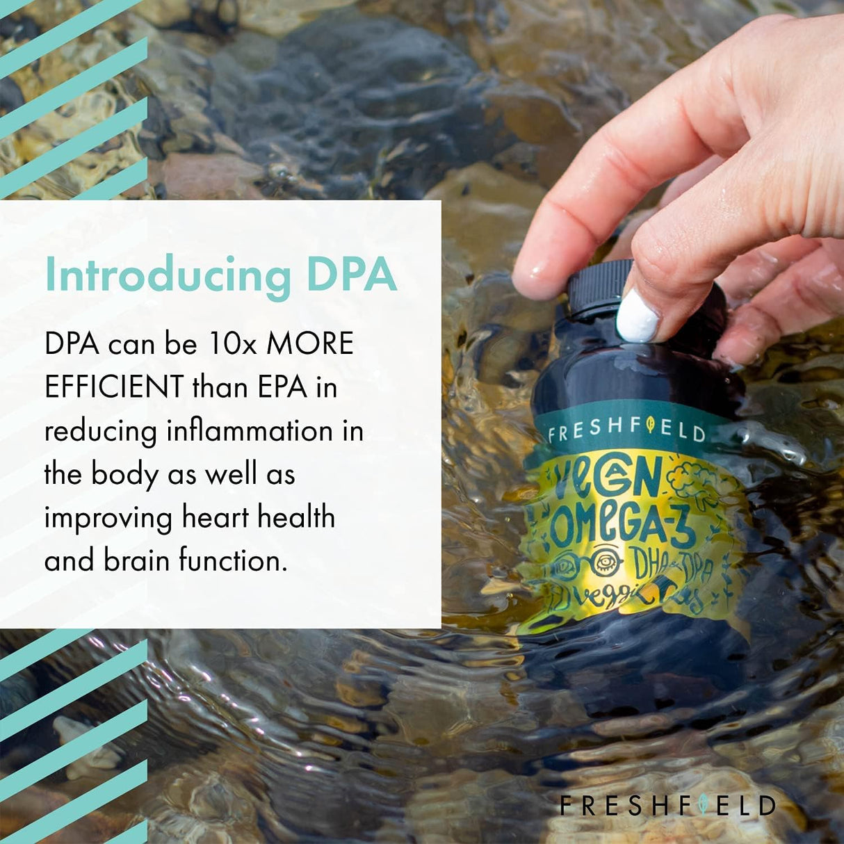 Suplementos Alimenticios vegano Omega 3 DHA aceite de algas