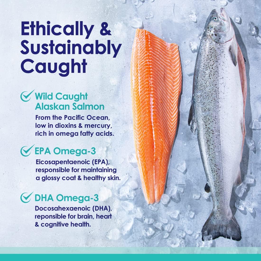 Aceite de salmón salvaje de Alaska 100% puro para perros, aceite de pescado líquido Omega 3 para perros, suplemento para piel y pelaje para desprendimiento, picazón seca en la piel y alergias, ácidos
