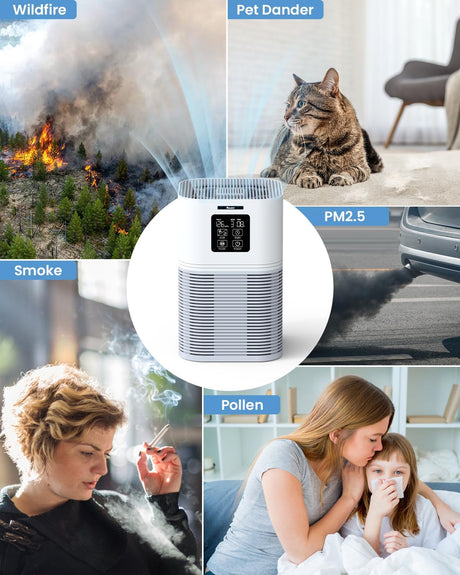 Purificadores de aire HEPA para grandes espacios