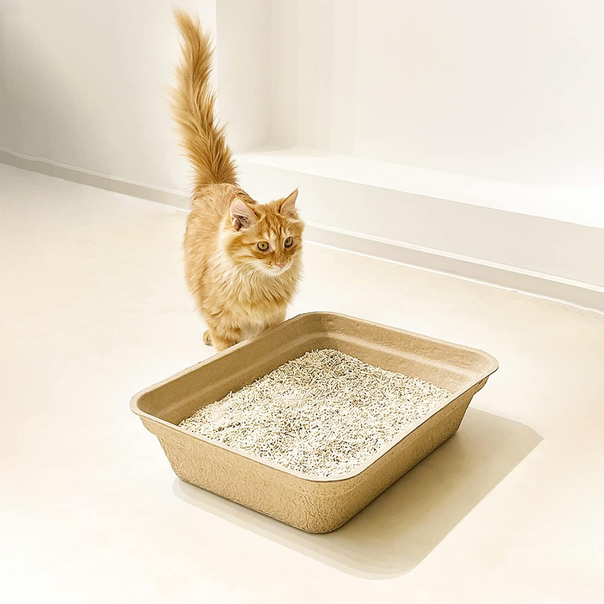 Paquete de 8 cajas de arena desechables para gatos WUWEOT