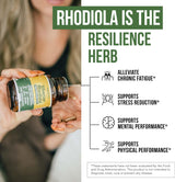 Suplemento Rhodiola siberiana  rosa de máxima fuerza  60 un