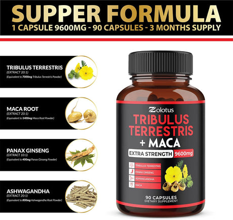 Suplementos Alimenticios aumenta la energía