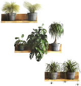 Vinilos Decorativos Maydahui Plantas Tropicales 3D 34x31 Pulgadas