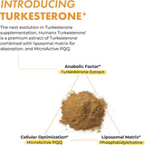 Suplementos Alimenticios para el desarrollo muscular