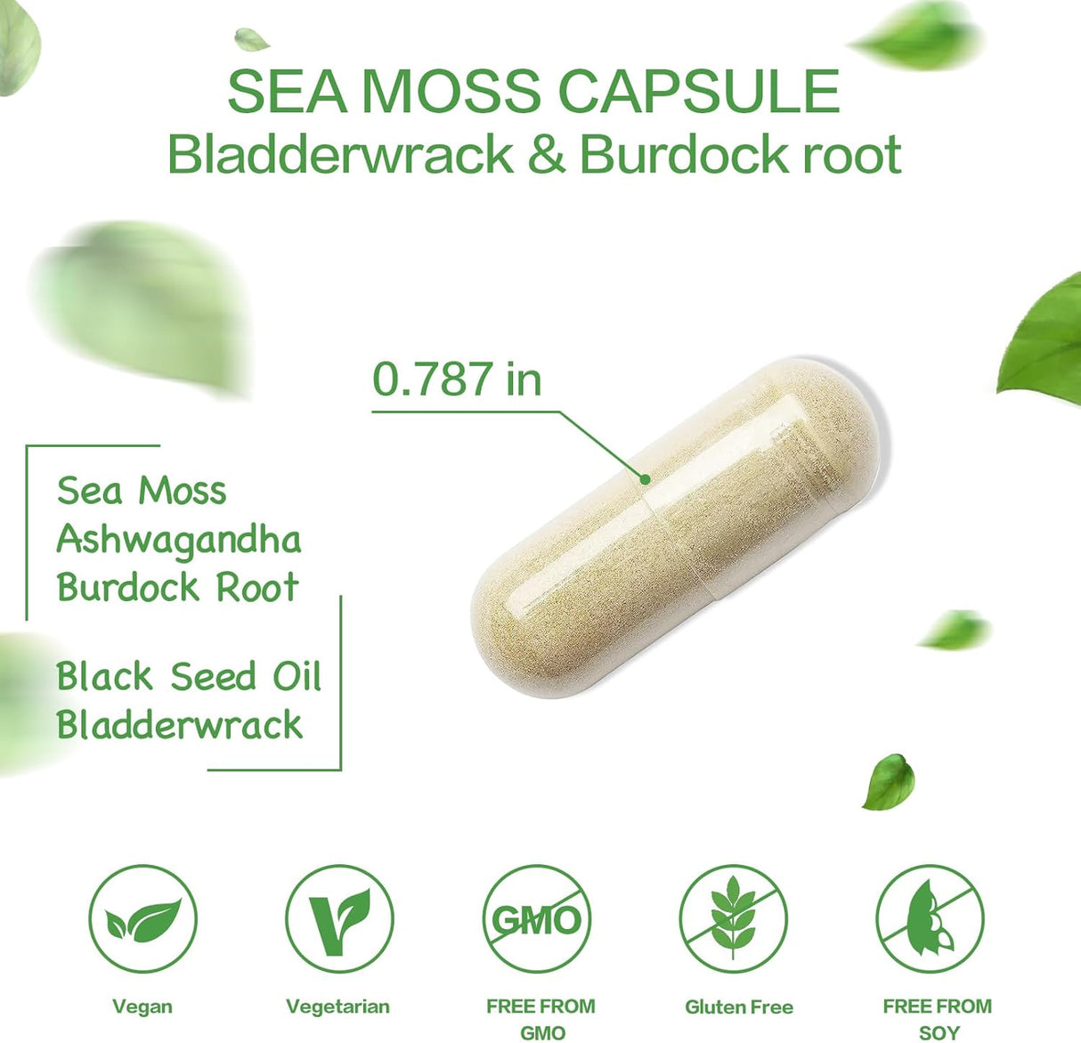 Cap. de Moringa Orgánica con Bladderwrack, B. Raíz y P. Negra, 2000mg