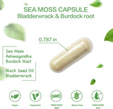 Cap. de Moringa Orgánica con Bladderwrack, B. Raíz y P. Negra, 2000mg