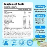 Gomitas de Ashwagandha 2500mg - Suplemento Orgánico 120 Unidades