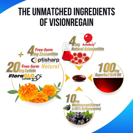LABO Nutrition VisionREGAIN  Entrega liposomal inteligente
