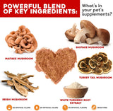 Vitaminas inmunológica crítica para perros y gatos