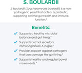 Probióticos Rootcology Dr. Wentz S. Boulardii 10B CFU 60 caps