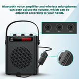 Amplificador de Voz Inalámbrico 30W con Micrófono S93