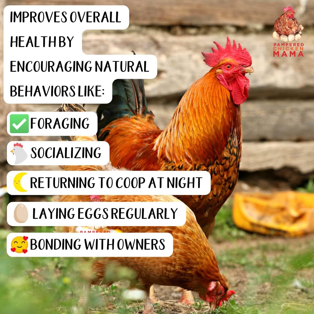 Paquete de muestras de 10 libras para gallinas
